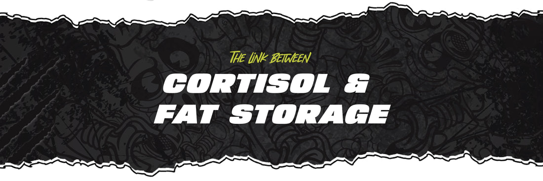 The Link Between Cortisol & Fat Storage