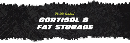 The Link Between Cortisol & Fat Storage